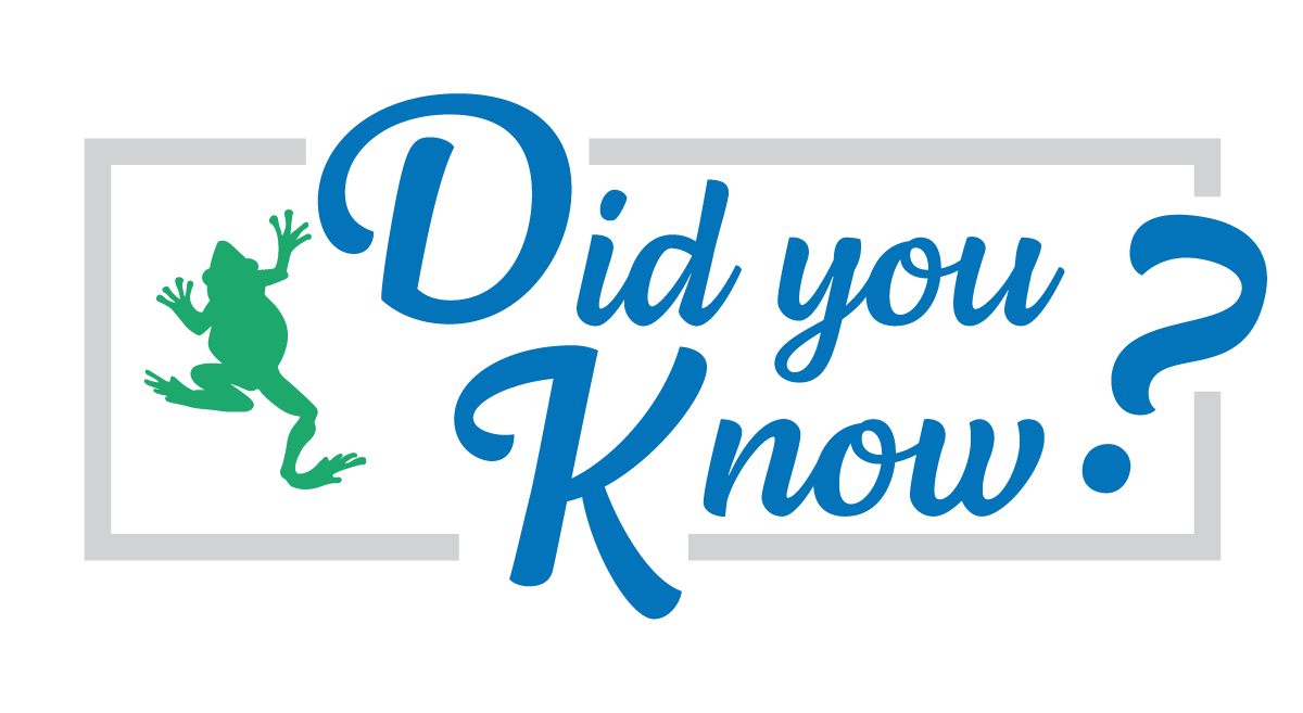 Did You Know graphic with a small graphic of a frog