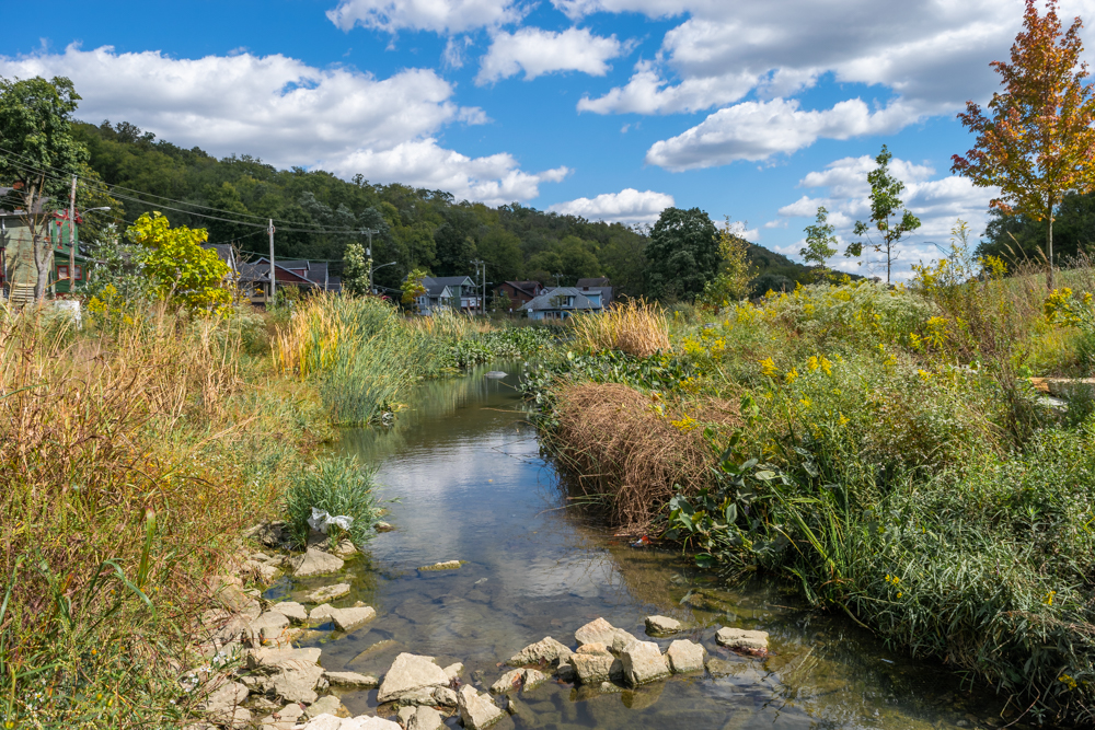 Baby moon tree planted on the grounds of Dennis Smith's new company location in Fairfield