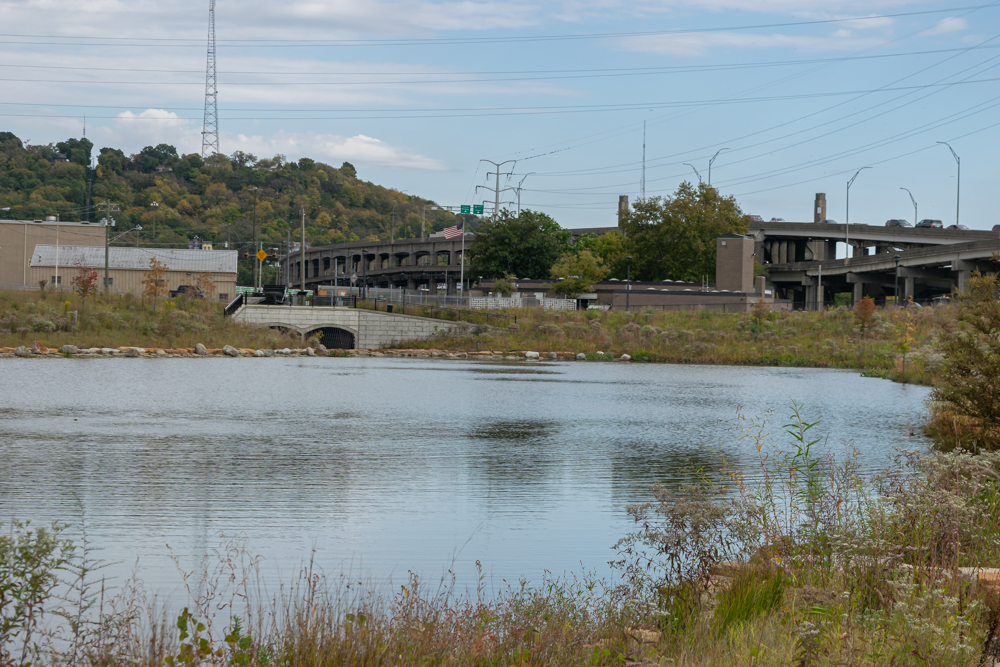 Pond with pond outfall in the background