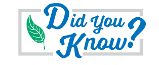 Did You Know graphic with a small graphic of a leaping frog