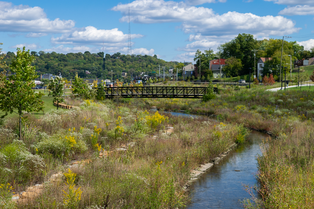 Lick Run Greenway stream (wider part)