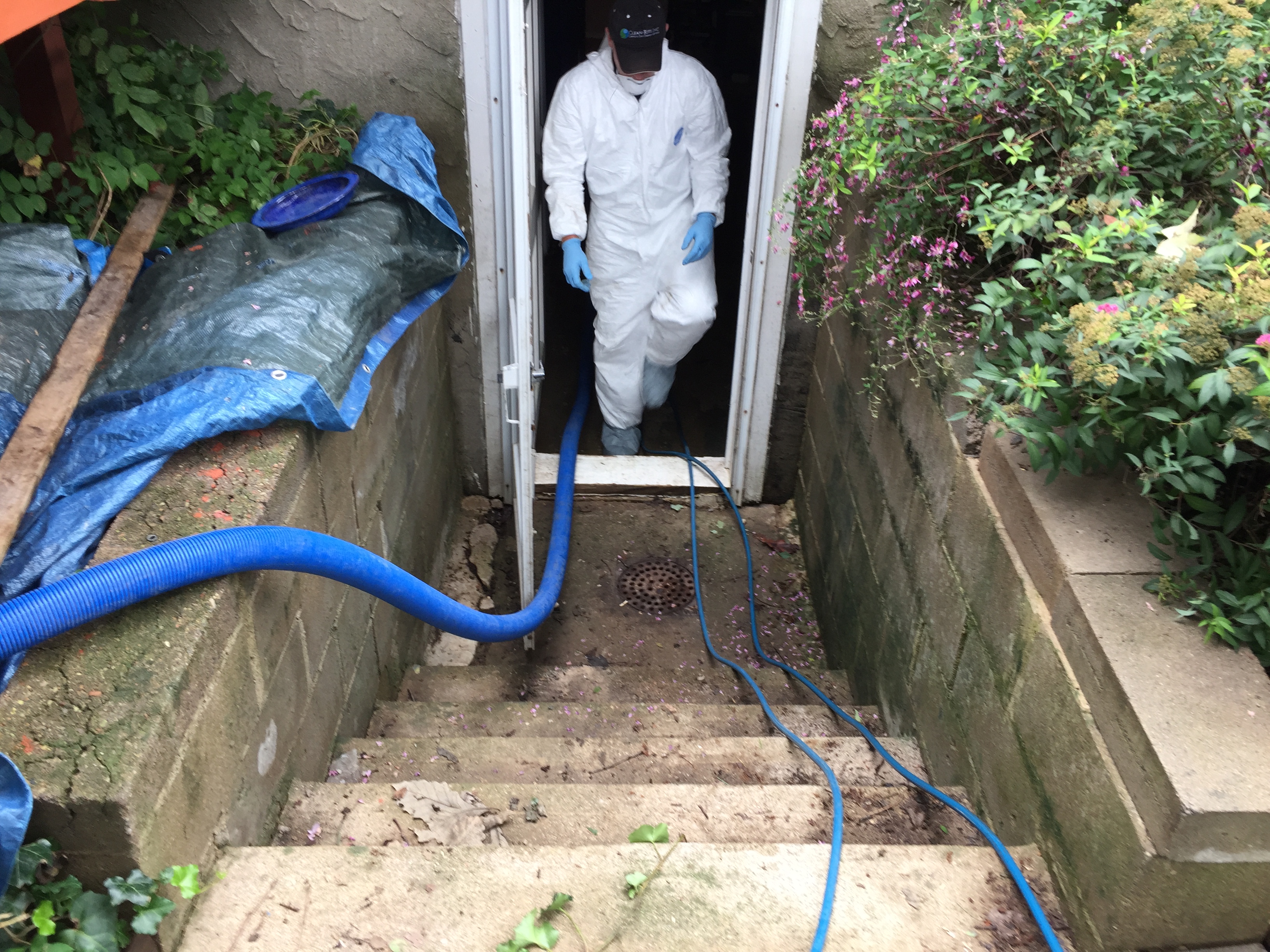 Photo of professional cleaning crew in full gear with blue booties at a home