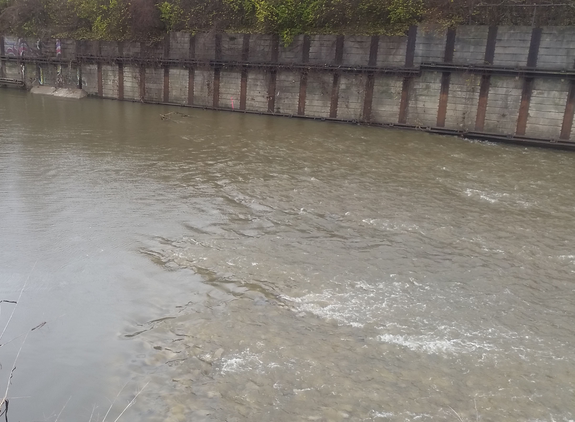Photo of a low-head dam
