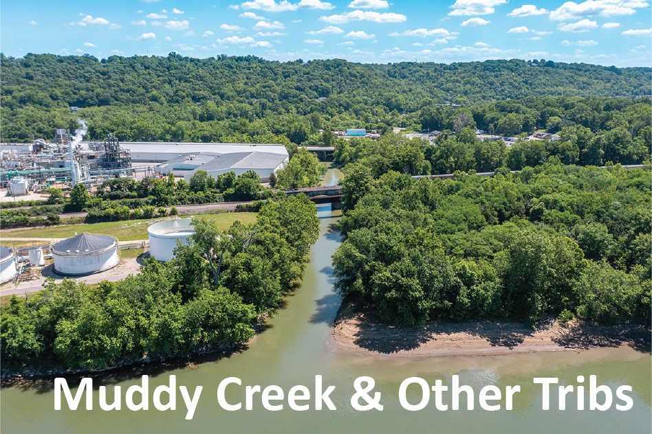 Muddy Creek Water Quality Story Map image